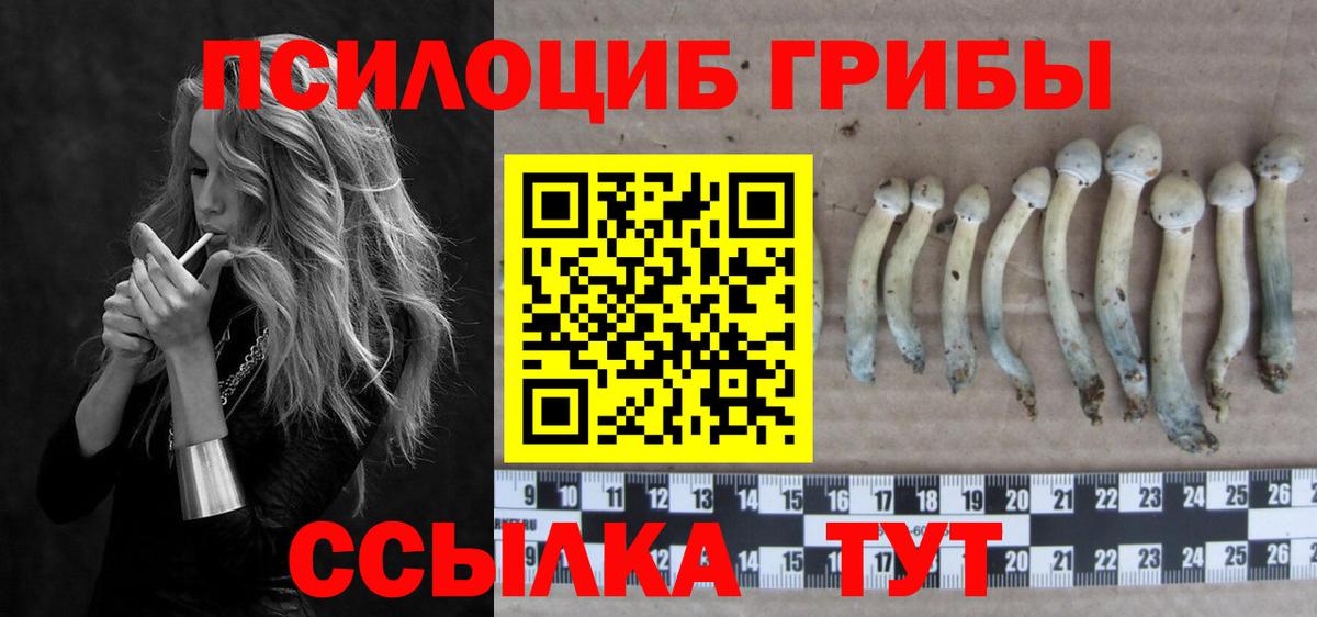 Псилоцибиновые грибы Psilocybe  Галлюциногенные грибы Psilocybine cubensis  Октябрьский  Вход с VPN 