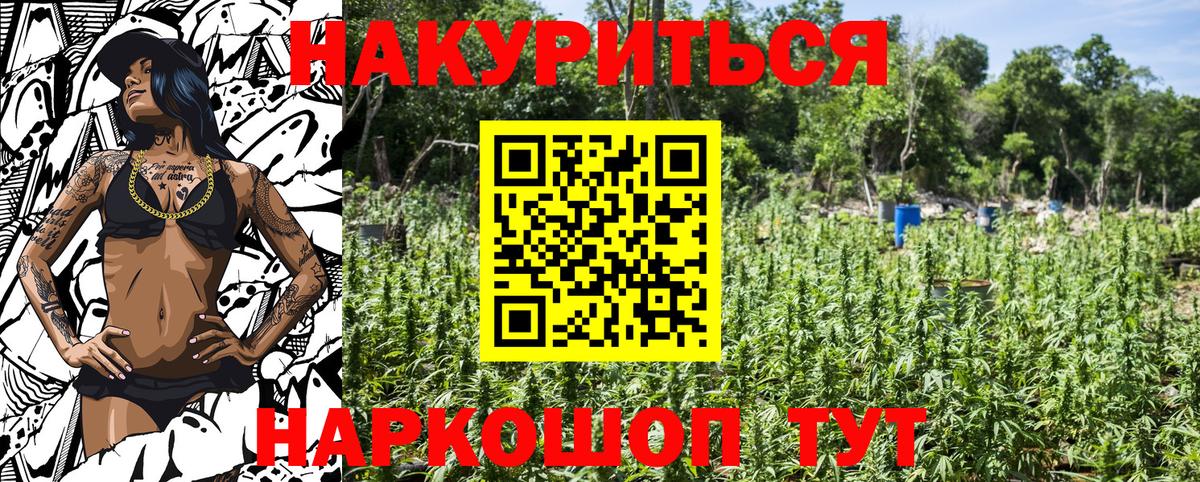 Каннабис гибрид Октябрьский